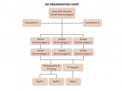 SGI Organization Structure - SGI Institute